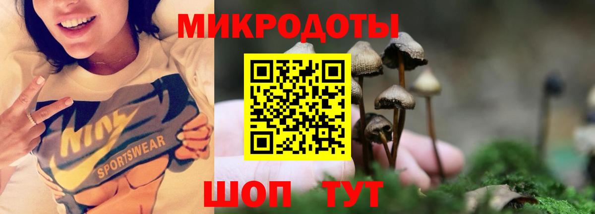 Волхов  Псилоцибиновые грибы Cubensis  Вход с VPN  Псилоцибиновые грибы прущие грибы 